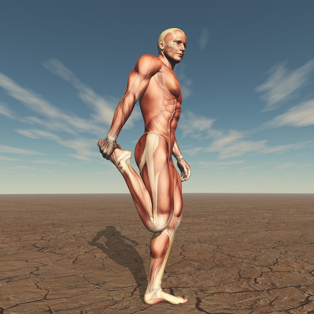 Free photo 3d male figure with muscle map in barren landscape