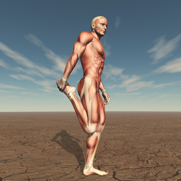 3D male figure with muscle map in barren landscape