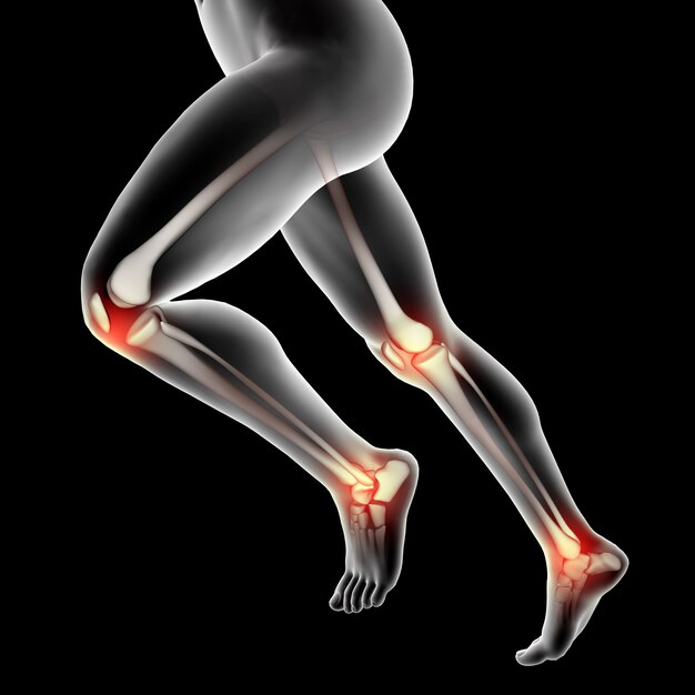 무릎과 발목이 강조 표시된 3D 남성 의료 그림