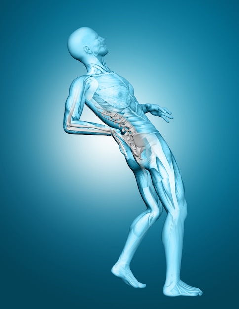 고통에 강조 척추와 3D 남성 의료 그림