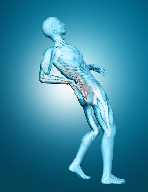 3D male medical figure with spine highlighted in pain