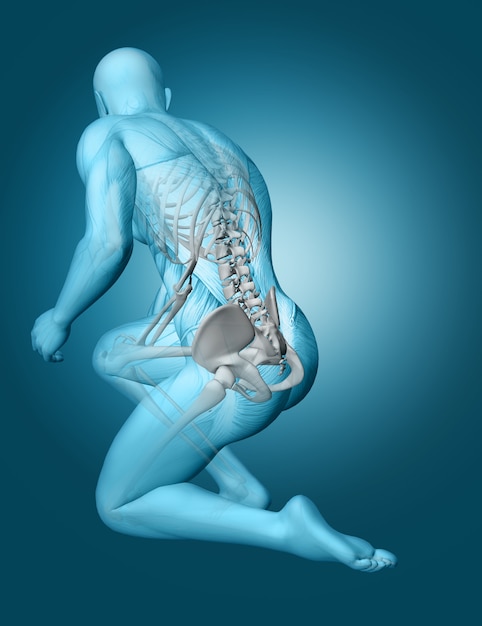 척추 강조 3D 남성 의료 그림