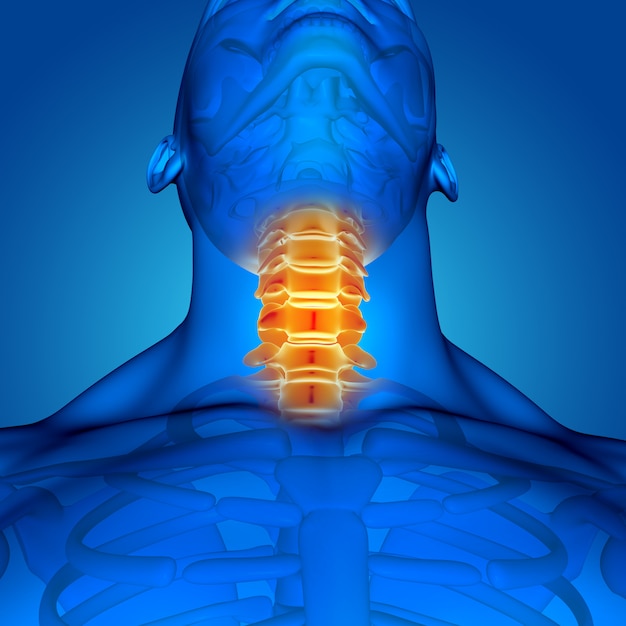 無料写真 強調表示されている喉を持つ3 dの男性医療図