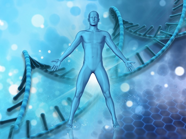 3d medical background with male figure on dna strands background Free Photo