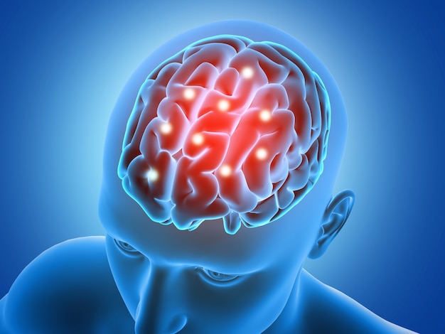 無料写真 脳の部分が強調表示された男性の姿を持つ3d医療の背景