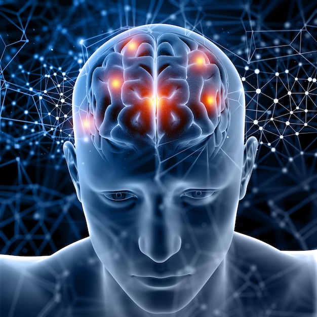 뇌 강조와 3D 의료 그림