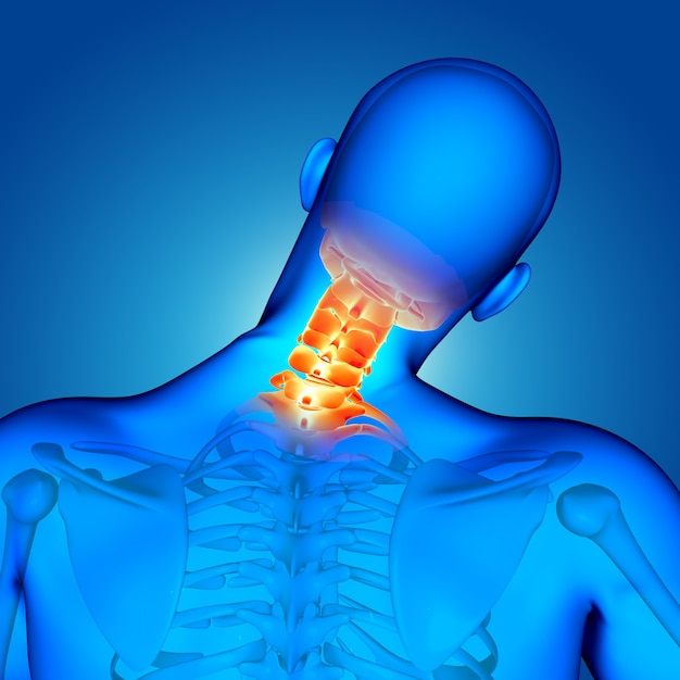 목 뼈가 강조 표시된 3D 의료 남성 그림