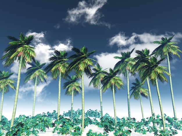 3D palm tree landscape