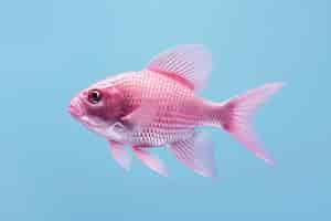 Free photo 3d pink fish in studio