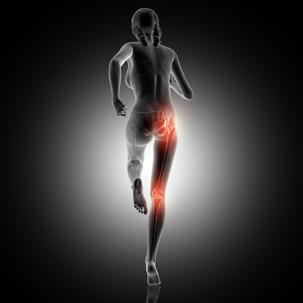 3D rear view of a female running with knee and hip joint highlighted