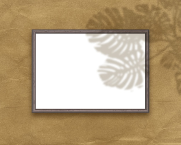 3D render of a blank picture frame with plant shadow overlay on grunge background