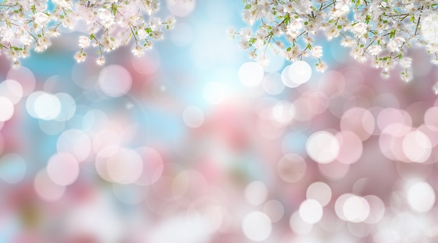 3D render of blurry cherry blossoms with bokeh lights