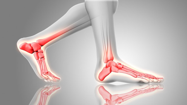 발의 3D 렌더링이 빛나는 뼈로 닫힙니다.
