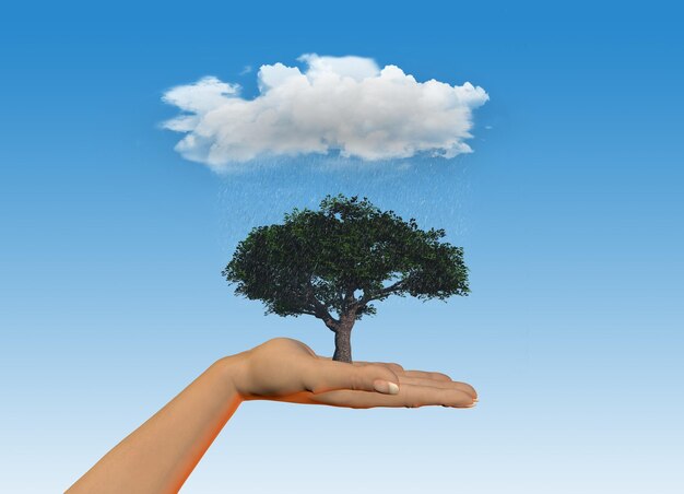 3D render of a female hand holding a tree under a rainy cloud