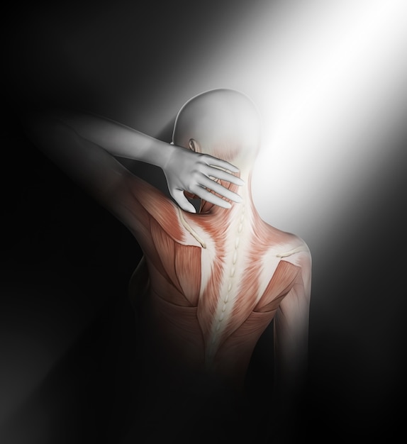 3d render of a female medical figure with partial muscle map holding neck in pain