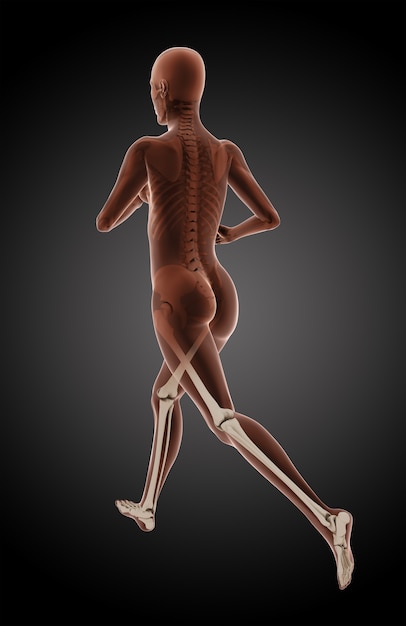 Free photo 3d render of a female medical running with legs highlighted