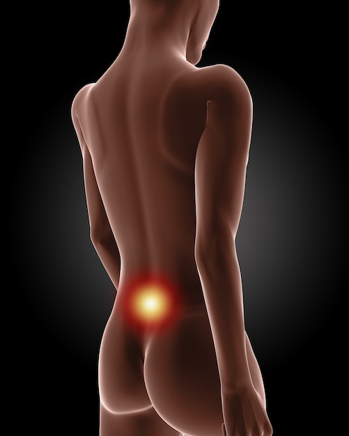 3d render of a female with highlighted dot on back