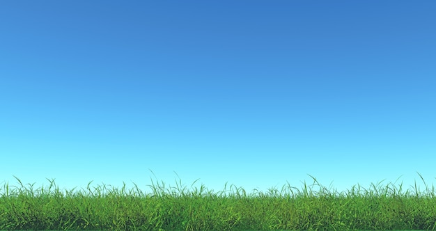 3D render of green grass and blue sky