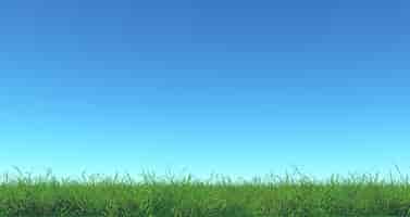Free photo 3d render of green grass and blue sky