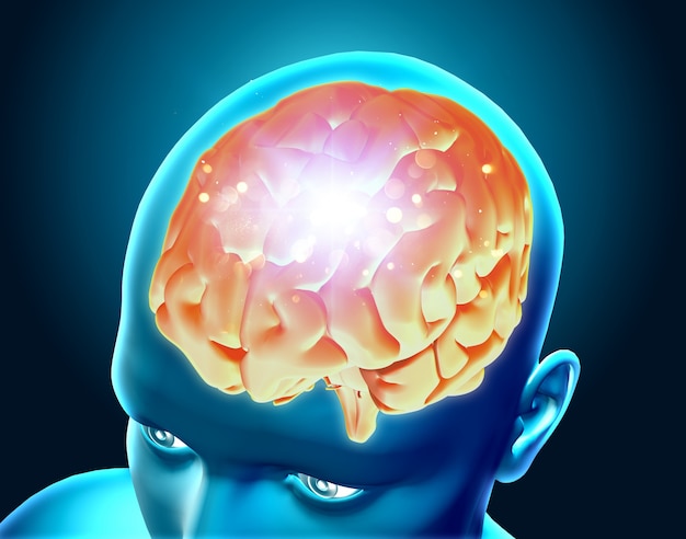 강조 표시된 뇌의 3d 렌더링