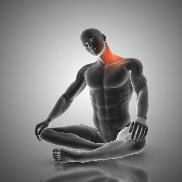 3d render of a male figure in neck stretch pose showing muscles used Free Photo