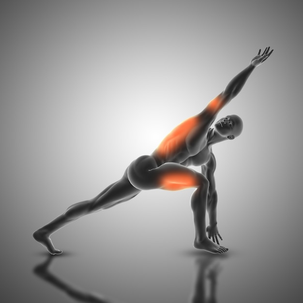 回転された側の角度姿勢の男性像の3Dレンダリングは、使用された筋肉が強調表示されている