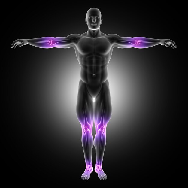 3d render of a male medical figure in standing pose with joints highlighted