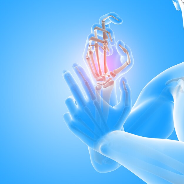 3D визуализация мужской медицинской фигуры с крупным планом костей рук