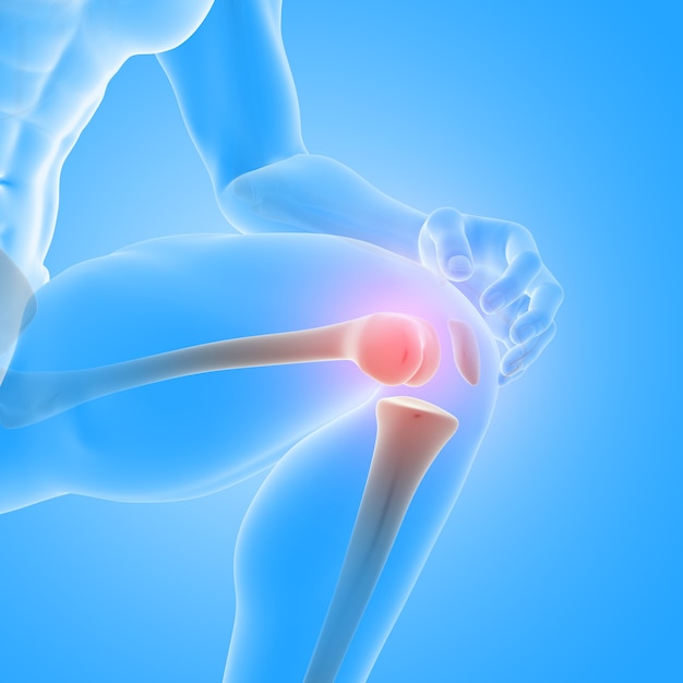 Free photo 3d render of a male medical figure with close up of knee bones