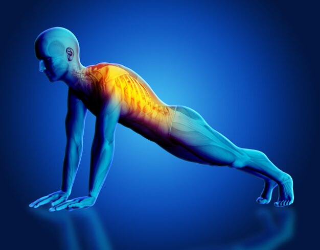 3D render of a male medical figure with spine highlighted in yoga pose