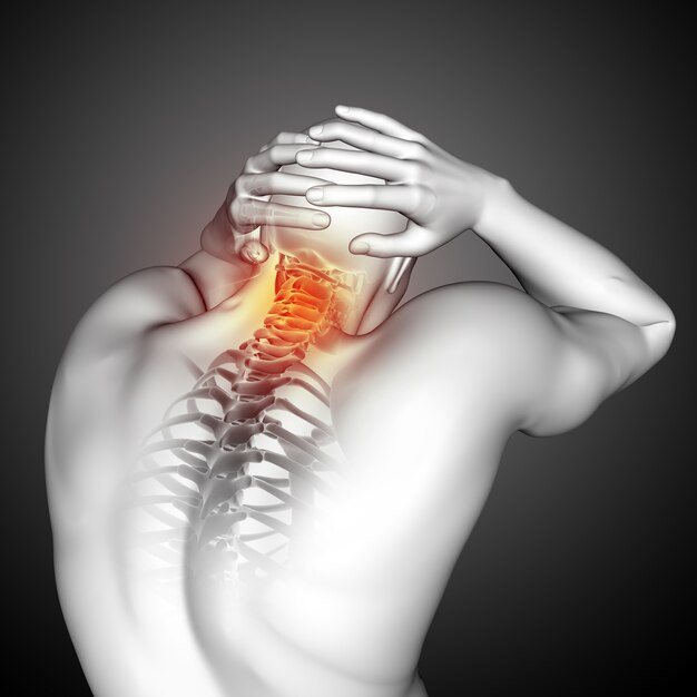 脊椎の上部が強調表示された男性の医療図の3Dレンダリング