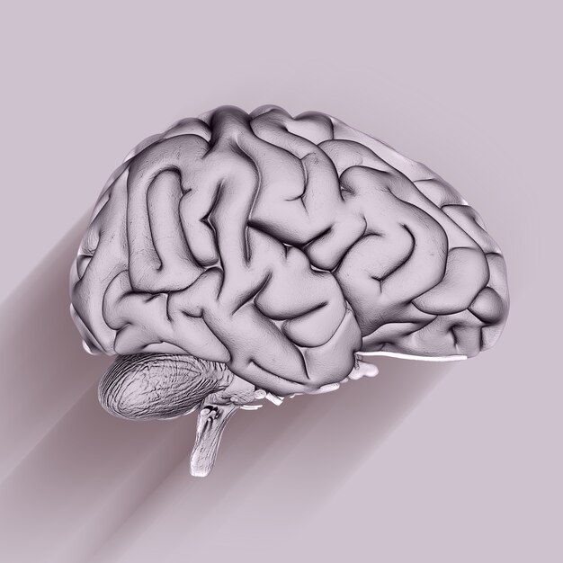 3D render of a medical background with brain