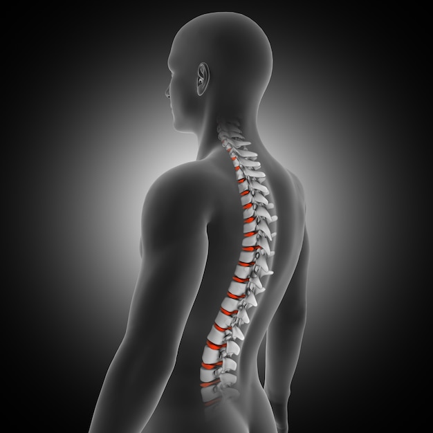 3D render of a medical background with male figure with spine and discs highlighted