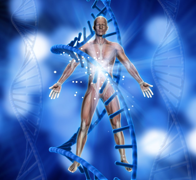3d render of a medical background with male figure