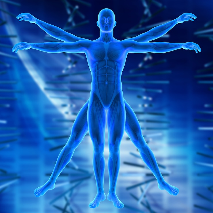 Free Photo 3d render of a medical background with vitruvian style male figure