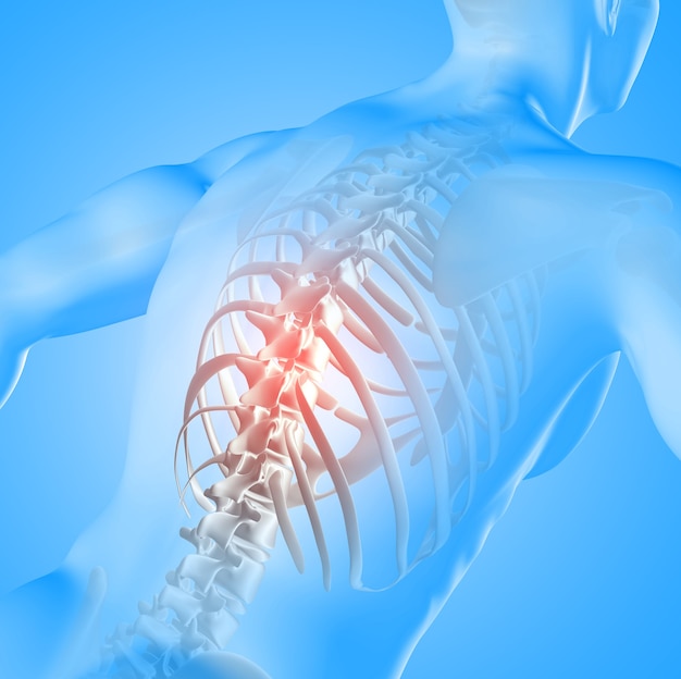 강조 척추와 남성 그림의 의료 이미지의 3D 렌더링