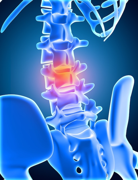 Foto gratuita rendering 3d di uno scheletro medico con la parte inferiore della colonna vertebrale evidenziata