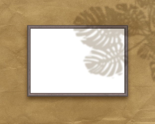 無料写真 グランジ背景に植物の影のオーバーレイと空白の額縁の3dレンダリング