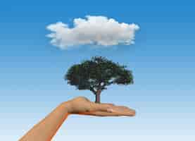 Бесплатное фото 3d визуализация женской руки, держащей дерево под дождливым облаком
