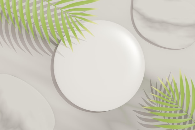3d render top view of white blank cylinder frame for mock up and display products with shadows of palm and monstera leaves. creative idea concept. green natural background.
