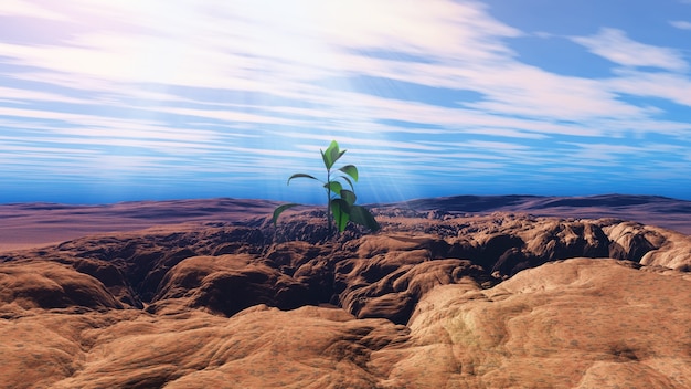3d render of a young seedling growing in a cracked dry ground