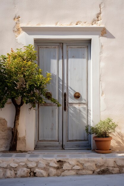 3d rendering of mediterranean  door