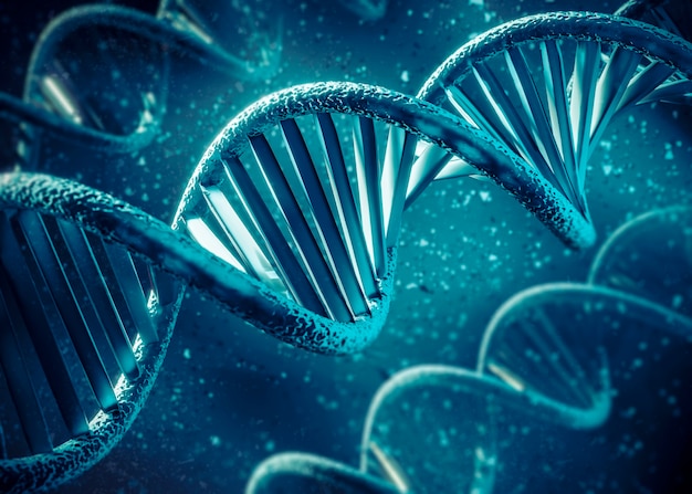 3d representation of dna