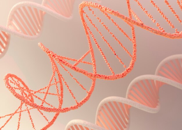 3d representation of dna