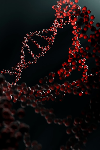 3d representation of dna