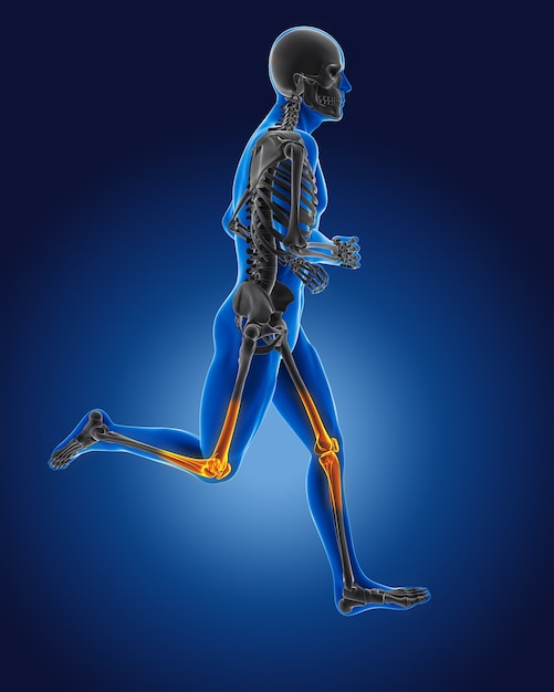 Free photo 3d running medical man with skeleton knees highlighted