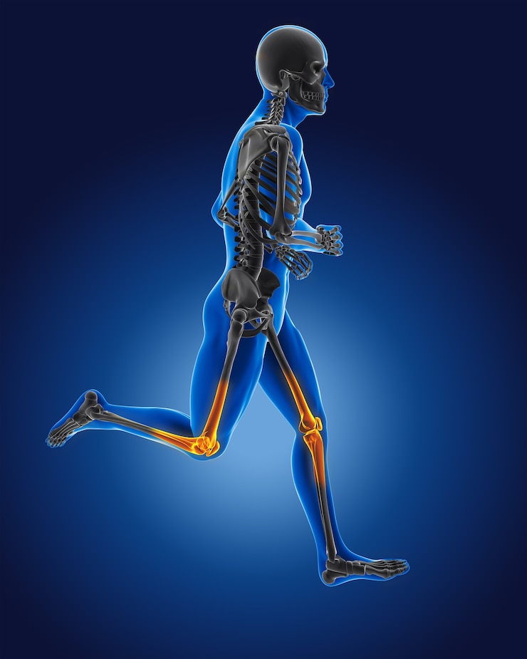 Free Photo 3d running medical man with skeleton knees highlighted
