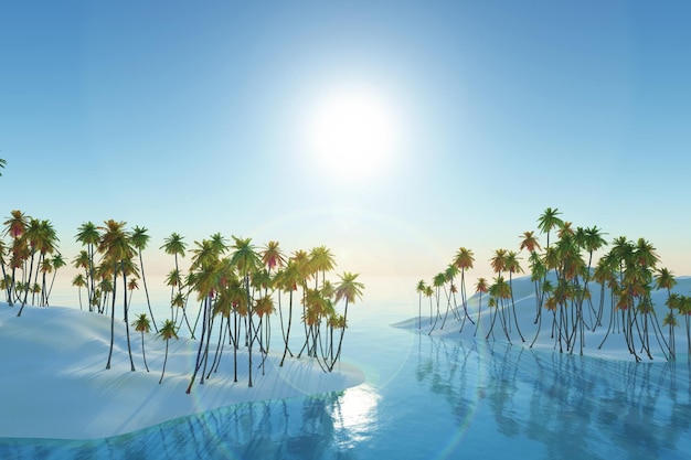 3D tropical background with palm tree islands