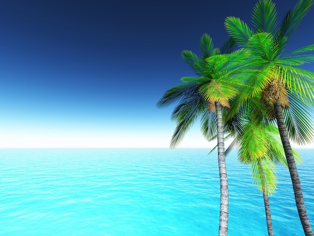 3D tropical landscape with palm trees and blue ocean