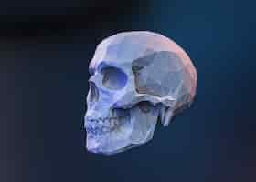 Free photo 3d view of skull